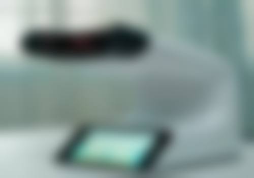 项目价格大揭秘：极高性价比等你来