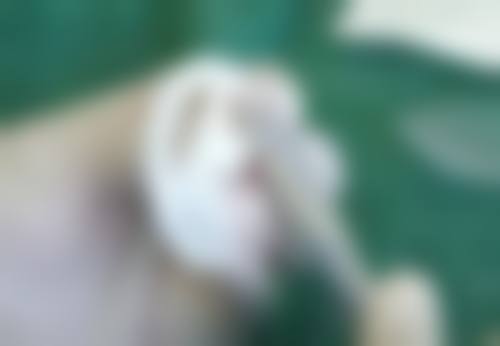 【上海美联臣医疗美容整形医院口腔科核心优势：】