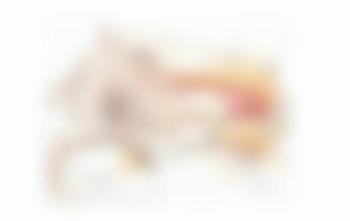 女性紧缩术的副作用