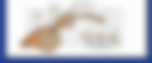 脸部打了溶脂针多久可以洗脸