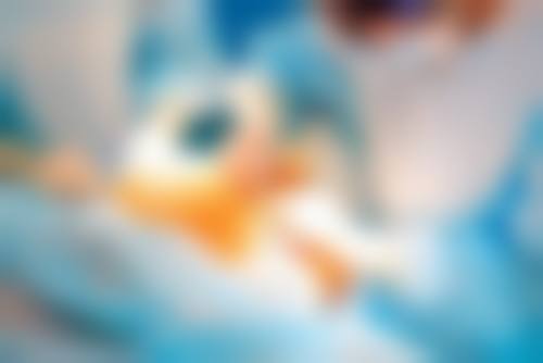 【张国军 医生怎么预约挂号？】