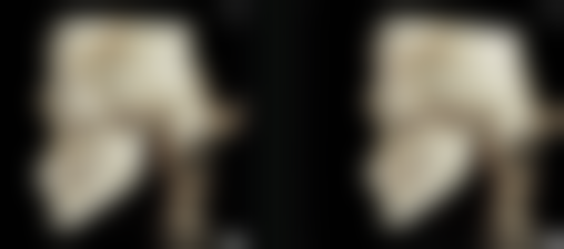 【四川攀枝花市中医和西医结合医院医生团队：】