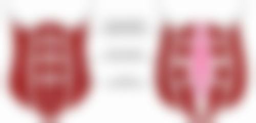 头发真的可以种植吗