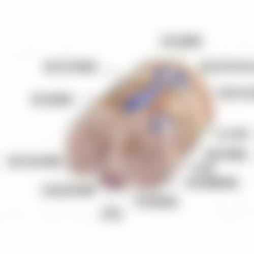 嘴角下垂纹怎么消除小妙招