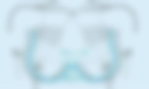 四、种植头发：成效、价格与生长情况