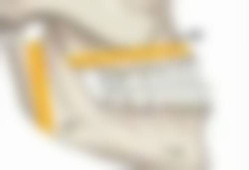 瘦脸针一般能维持多久