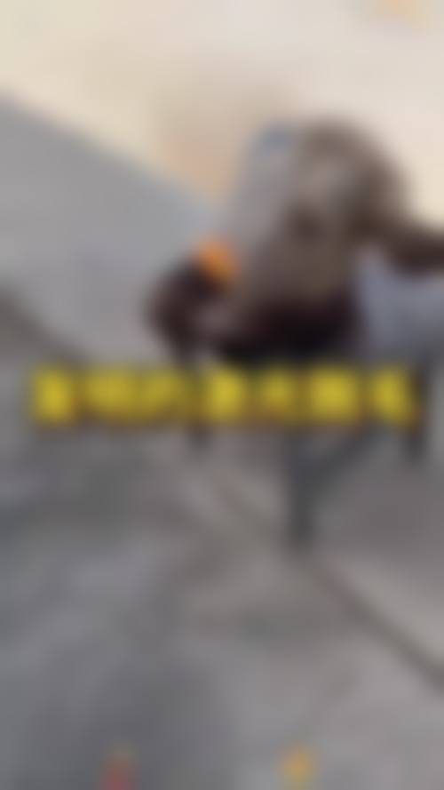 【金俊永医生荣誉资质】