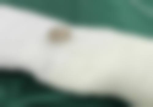 【乐山达芬奇整形医院医生团队：】