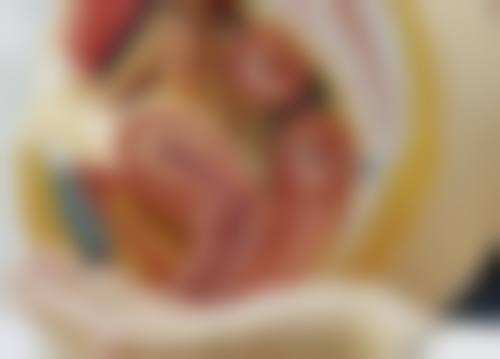 四川成都美容整形医院私密科李挺收费价目表中的价格合理吗？