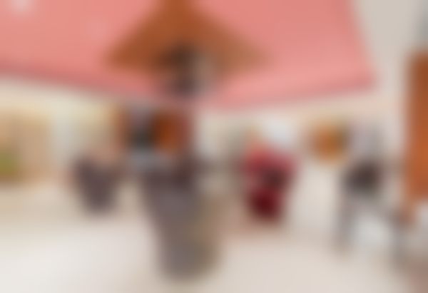 【金保成医生擅长项目】