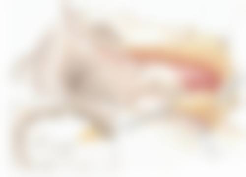 瘦脸针打完什么时候效果好？解析7 - 15天的初步显效期与30 - 60天的最佳效果阶段！ 