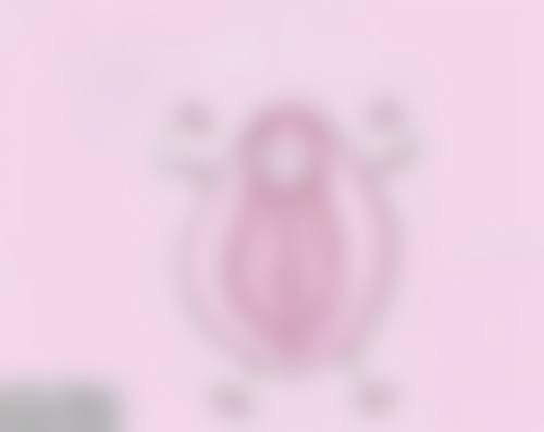 瘦脸针价格及相关情况