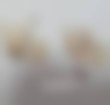 不同价格区间的紧致除皱化妆品选择