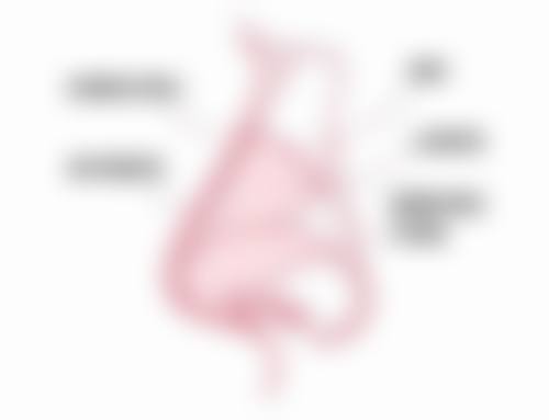 国字脸打了瘦脸针是什么样子