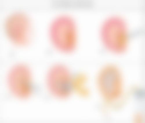 顾客可以通过医院官网在线客服进行预约，也可拨打医院电话进行询问和预约。医院还提供一对一的整形顾问服务，帮助顾客更好地了解项目和价格，让顾客在预约过程中更加清晰和明确。