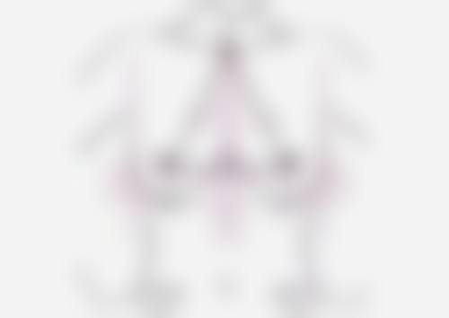 种植头发可以以生长吗？揭秘植发后毛囊生长真相，90%存活率不是梦，让你告别脱发困扰重焕浓密发量！ 