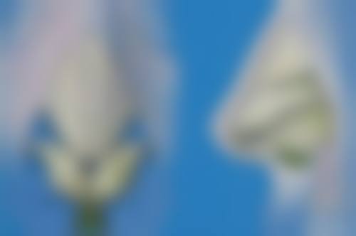 瘦脸针打完没感觉正常吗