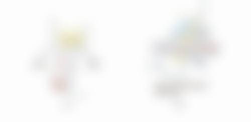 植物根毛的发生、发育及养分吸收与毛发种植的联系