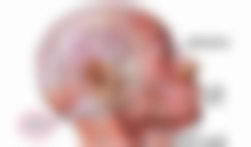 注射瘦脸针后的注意事项