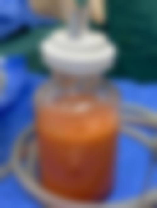 【黄莉雯医生荣誉资质】