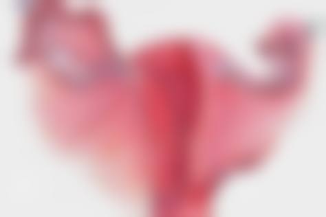 【深圳玖健整形医院医生团队:】