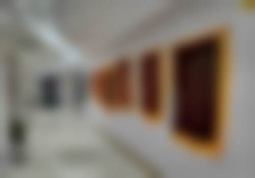 【杨明锋医生怎么预约挂号？】