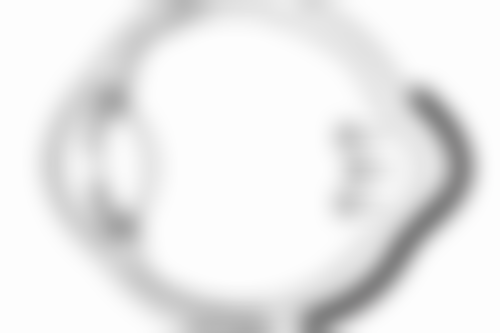 使用韩国乐提葆的注意事项