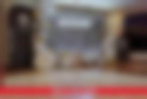 【张利涛医生怎么预约挂号？】