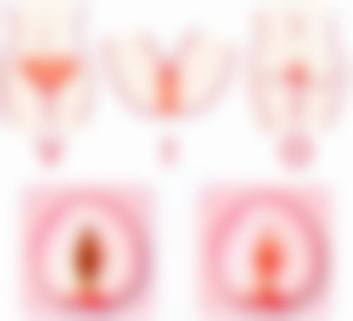 【孔翔玉医生荣誉资质】