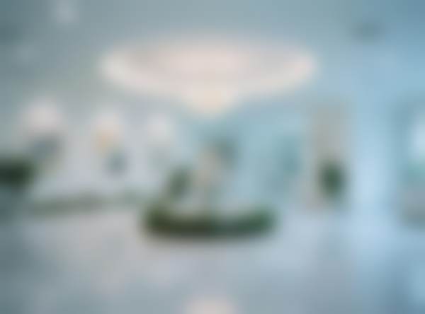 【上海名媛医疗美容医院地址:】