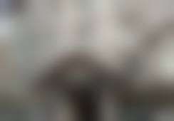 上海丽质医美半恒久纹眉价格 369 元起的项目技术优势