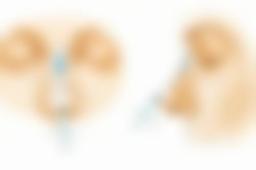 【江南首延整形外科地址:】