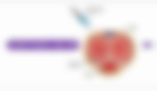 割包皮和延长术能一起做吗视频