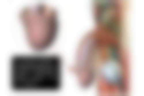 割包皮和延长术能一起做吗