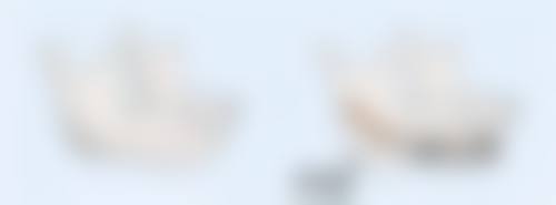 种植头发大概多少钱