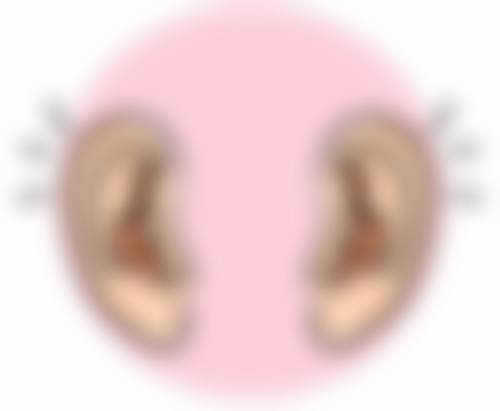 操作部位是否冲突