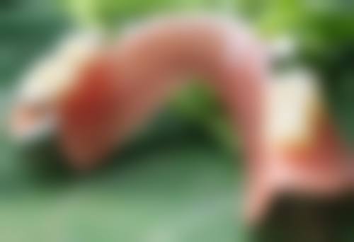 【杭州薇凯医疗美容门诊部诊疗设备：】