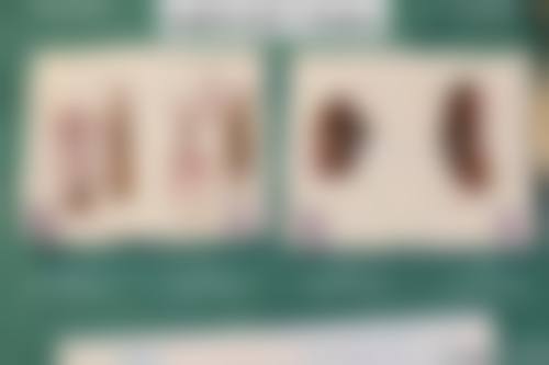 【天津中怡医学美容诊疗设备：】