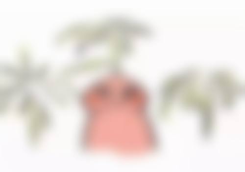 【江南maypure医院特色项目：】