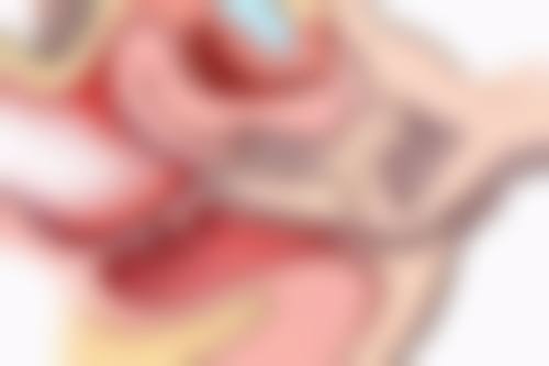 韩国兰瑞嫩肤产品和韩国兰辰瘦脸针的市场反馈