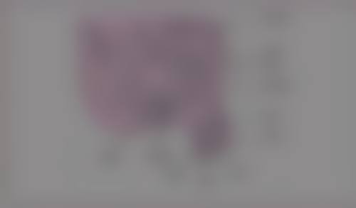 四、草莓苗的种植和浇水要点