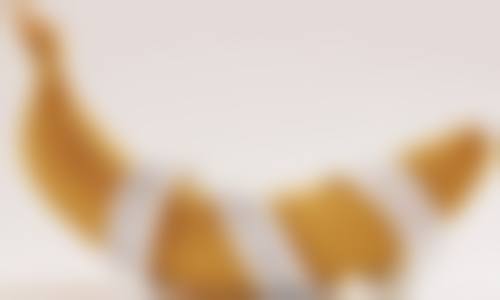 关于毛发种植的常见疑问解答