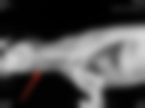 【广州青逸医疗美容门诊部地址：】