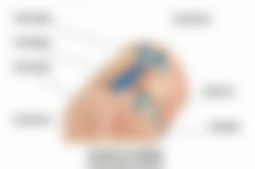 瘦脸针打几次就恒久了