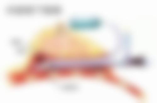 白毒瘦脸针效果怎么样安全吗？权威解析其显著效果及高安全性，为你揭秘医美界热门瘦脸神器！ 