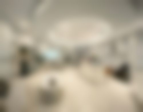 上海德琳医疗美容医院（韩国Dream分院）宋鸿植手术价格值不值