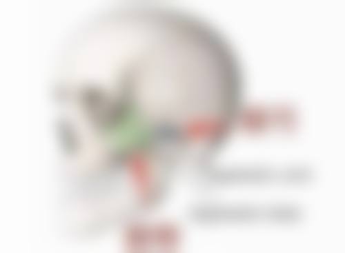 有旋的地方可以植发吗