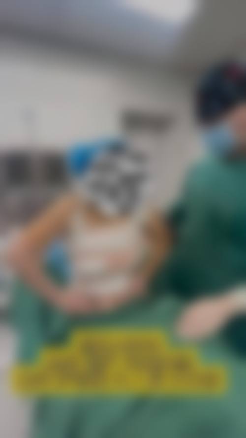 【权成日医生荣誉资质】