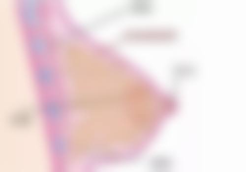 打完瘦脸针后多久可以正常吃饭