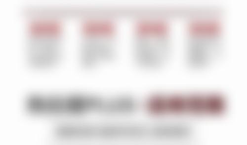 擅长项目详解
